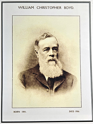 boyd 300