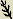 palm